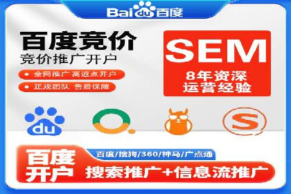 某企业SEM广告投放的ROI提升策略及效果展示